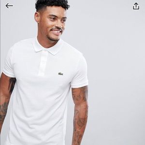 Lacoste polo Shirt 🐊